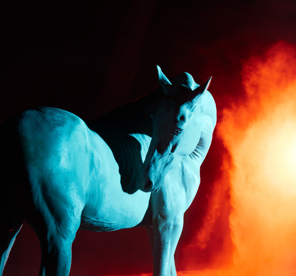 Year of the Fire Horse equine fine art print