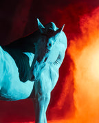Equine fine art photograph of a horse standing in front of a smoky backdrop glowing orange and red hues.