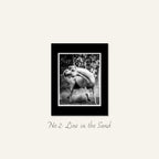 Black and white equine fine art print