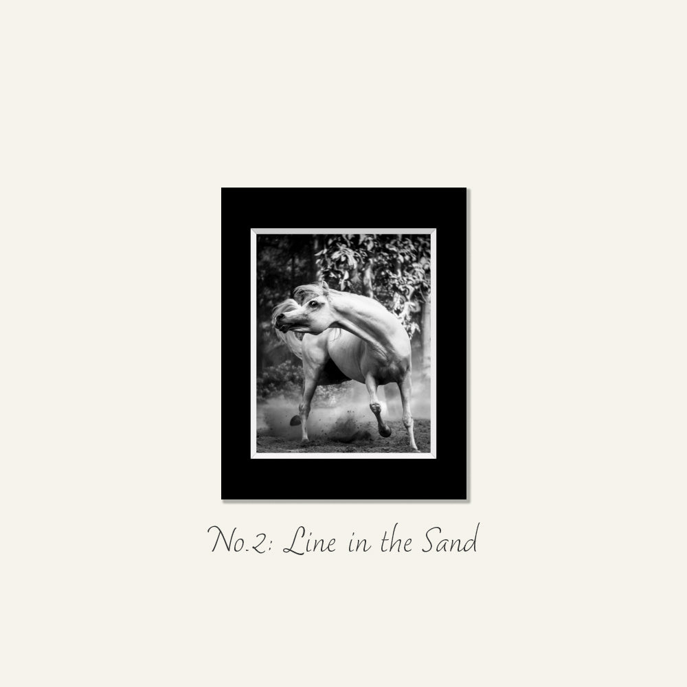 Black and white equine fine art print