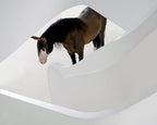 Equine fine art print of horse standing in an all-white room as viewed from the top of a winding staircase.