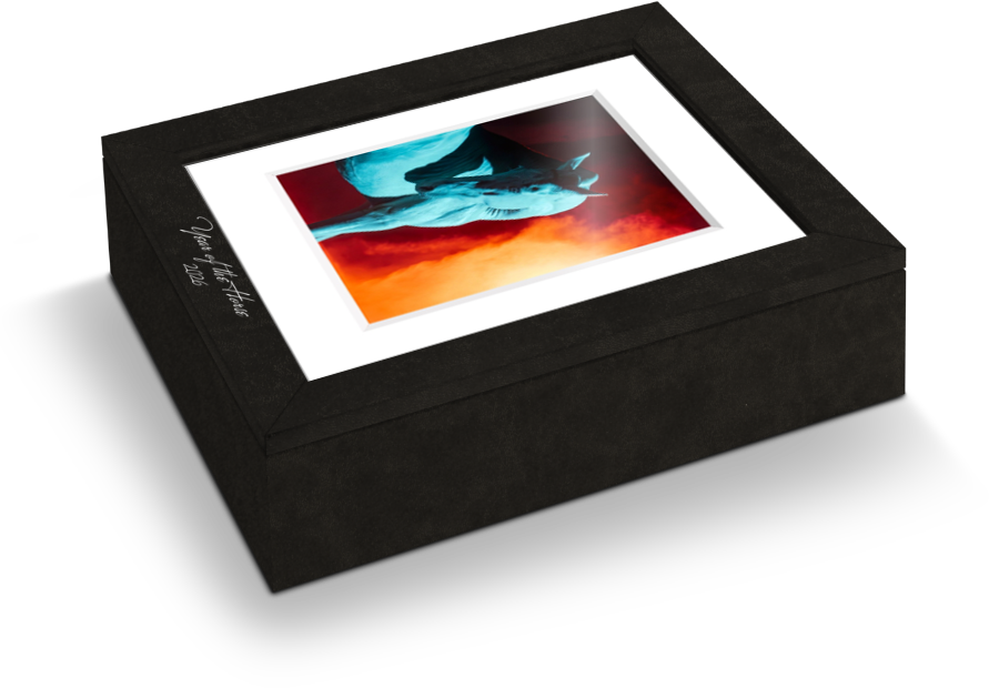 Year of the Horse collectable set of 12 fine art prints in showcase box for home decor or gifting.