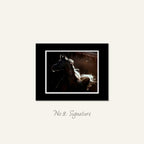 Equine fine art print of silhouetted horse with mane and tail glowing in the sun by Wild at Heart, your equine image visualist