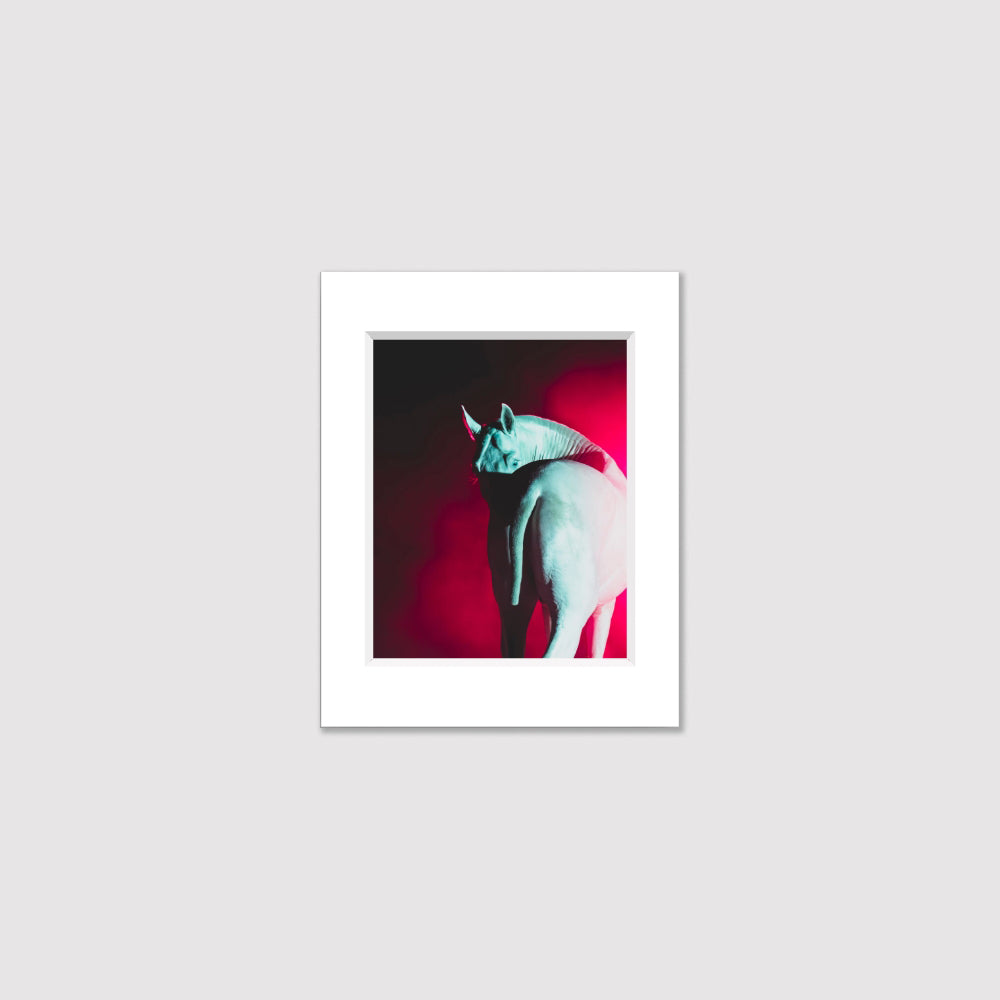 equine fine art print on archival photographic paper and museum grade matting suitable for a bold and contemporary home decor aesthetic.
