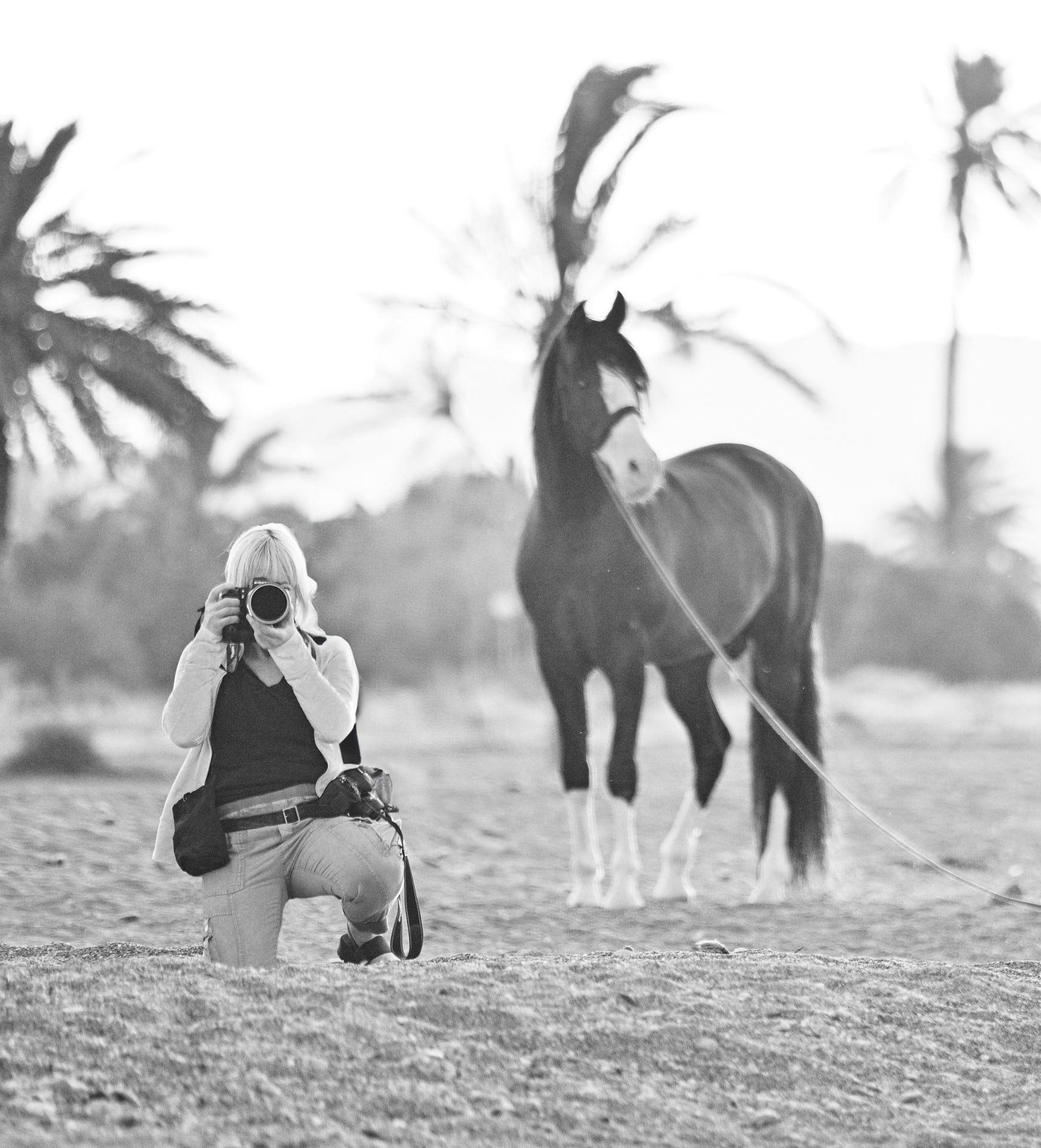 working on the beach with stallion